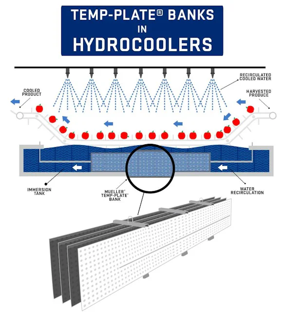 The Most Efficient Way to Chill Water for… | Paul Mueller Company